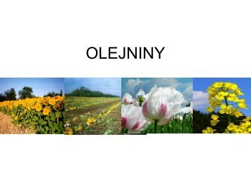 OLEJNINY