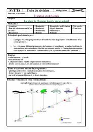 Fiche rÃ©vision place de l'Homme - Bac S