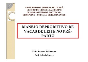 manejo reprodutivo de vacas de leite no prÃ©- parto - Universidade ...