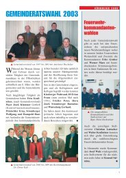 RÃƒÂ¼ckblick des Jahres 2003 in der Gemeinde Weitensfeld