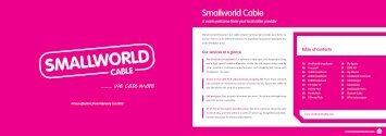 Smallworld Cable