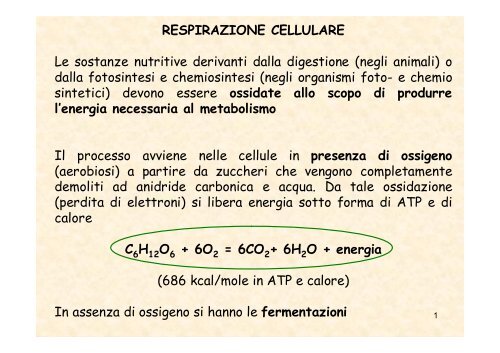 RESPIRAZIONE CELLULARE Le sostanze nutritive ... - Sdasr.unict.it