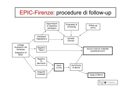 Gli studi di coorte - Centro per lo Studio e la Prevenzione ...