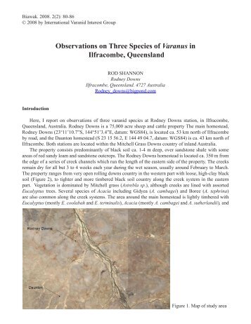 Observations on Three Species of Varanus in Ilfracombe, Queensland