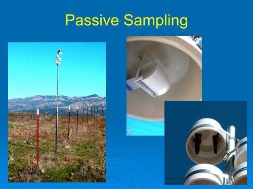 Nitrogen deposition impacts on a nutrient-poor grassland ... - Cal-IPC