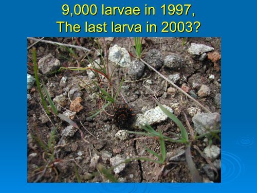 Nitrogen deposition impacts on a nutrient-poor grassland ... - Cal-IPC