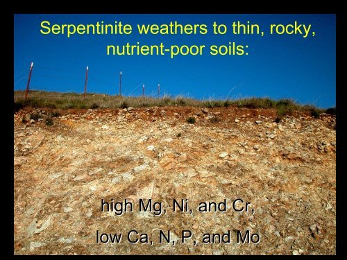 Nitrogen deposition impacts on a nutrient-poor grassland ... - Cal-IPC