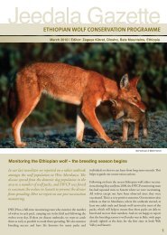 pdf - 980KB - Ethiopian Wolf Conservation Programme