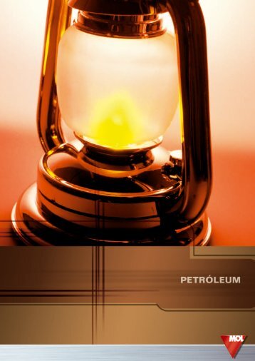 PetrÃ³leum (pdf, 727 kB) - Mol