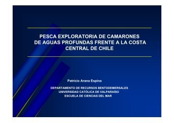 pesca exploratoria de camarones de aguas profundas ... - Imarpe