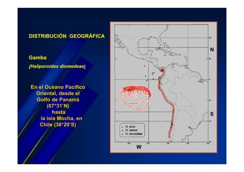 pesca exploratoria de camarones de aguas profundas ... - Imarpe