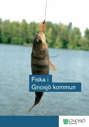 Fiska i Gnosjö kommun