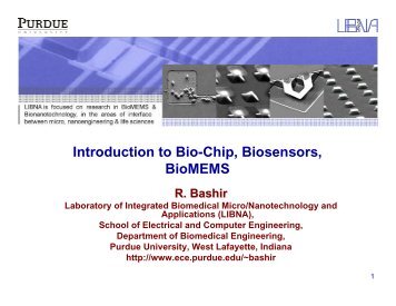 Biochip 1 - Laboratory of Integrated Bio Medical Micro ...