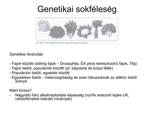 A termÃ©szetvÃ©delmi biolÃ³gia szÃ¼ksÃ©gessÃ©ge