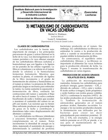 3) metabolismo de carbohidratos en vacas lecheras - Babcock Institute