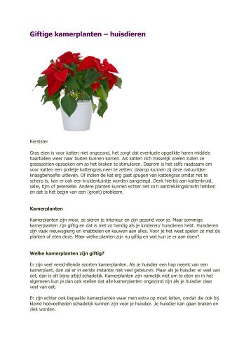 Giftige kamerplanten – huisdieren