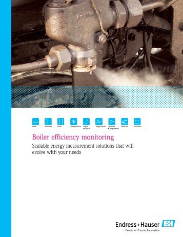 Boiler efficiency monitoring - Endress + Hauser