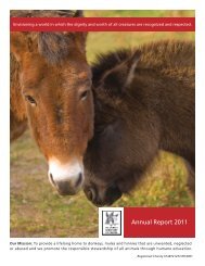 Annual Report 2011 - The Donkey Sanctuary of Canada