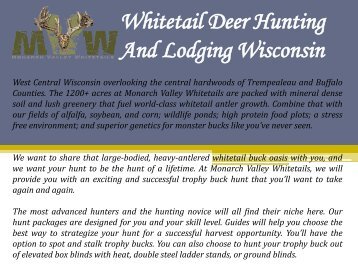 Whitetail Deer Hunting And Lodging Wisconsin