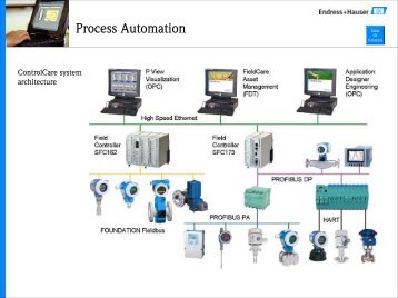 Process Automation - Endress + Hauser
