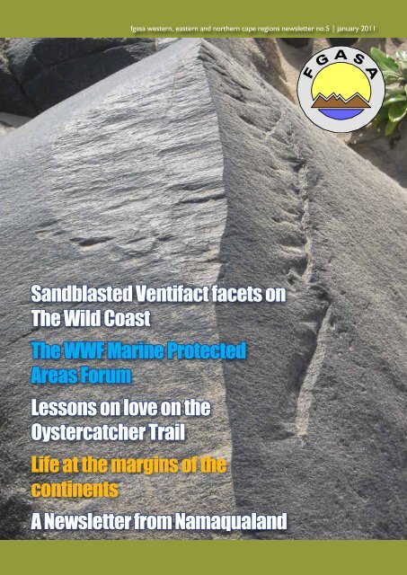 Sandblasted Ventifact facets on The Wild Coast The WWF ... - FGASA