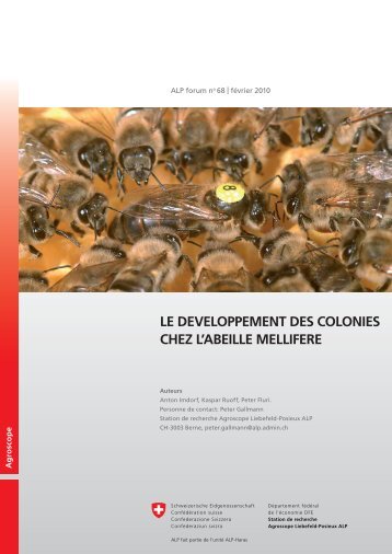 Le développement des colonies chez l'abeille mellifère - Apiservices