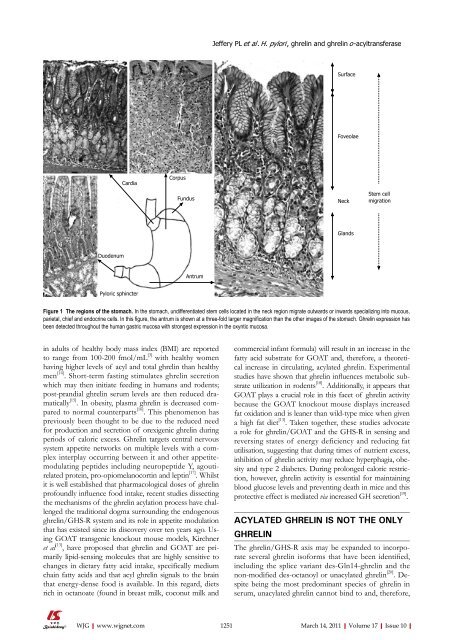 10 - World Journal of Gastroenterology