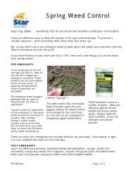 Spring Weed Control - Star Nursery