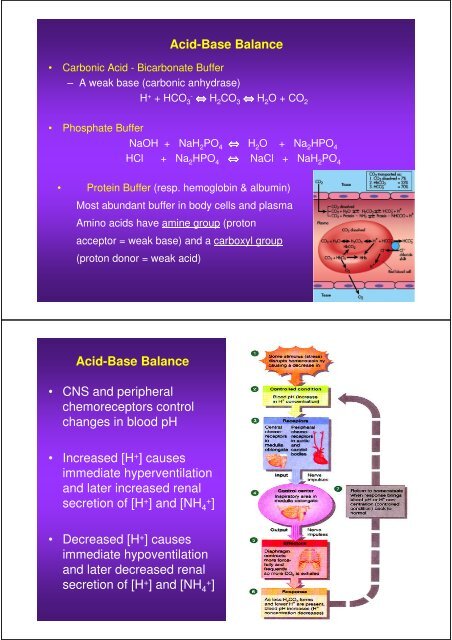 Fluid balance and electrolyte distribution in human body.