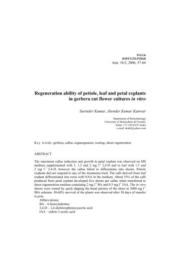 Regeneration ability of petiole, leaf and petal explants in gerbera cut ...