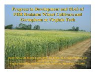 Progress in Development and MAS of FHB Resistant Wheat Cultivars ...