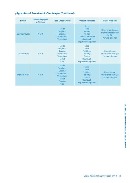 NBeG Village Assessment (956.82 KB) - Food Security Clusters