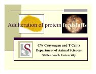 Paper 11- Prof Christiaan W. Cruywagen - AFMA