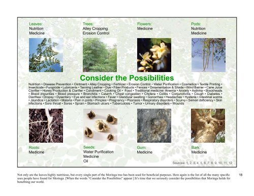 View PDF - Trees for Life