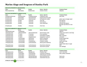 Marine Alage and Seagrass of Stanley Park - Stanley Park Ecology ...