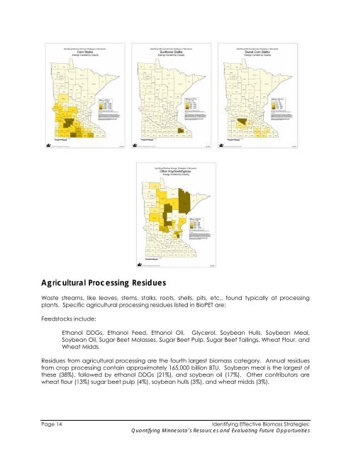 Biomass Feasibility Project Final Report - Xcel Energy