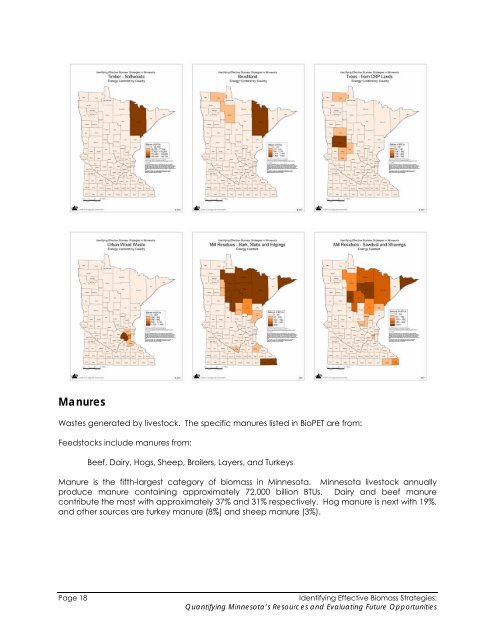 Biomass Feasibility Project Final Report - Xcel Energy