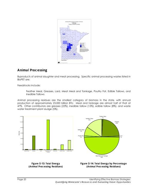 Biomass Feasibility Project Final Report - Xcel Energy