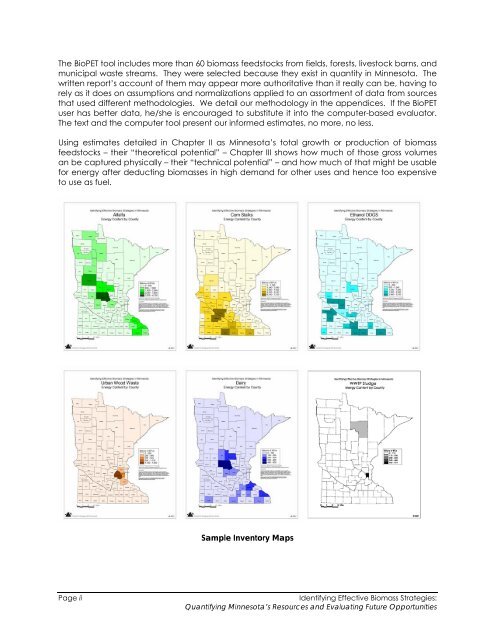 Biomass Feasibility Project Final Report - Xcel Energy