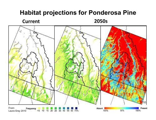 Changing Tree Species in the West Kootenays - Kootenayresilience ...