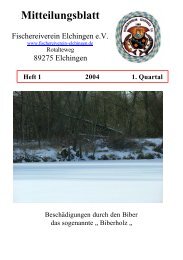 MtBl. 01 - Informationen Ã¼ber den Fischereiverein Elchingen