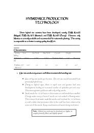 HYBRID RICE PRODUCTION TECHNOLOGY - Darfu4b.da.gov.ph