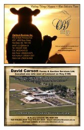 Part Four - Indian River Cattle Company