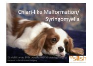 Syringomyelia