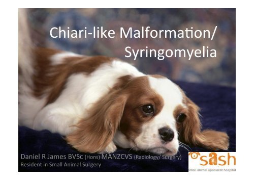 Syringomyelia