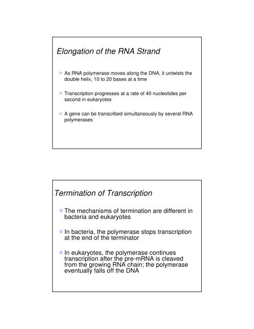 Basic Principles of Transcription and Translation - Computer ...