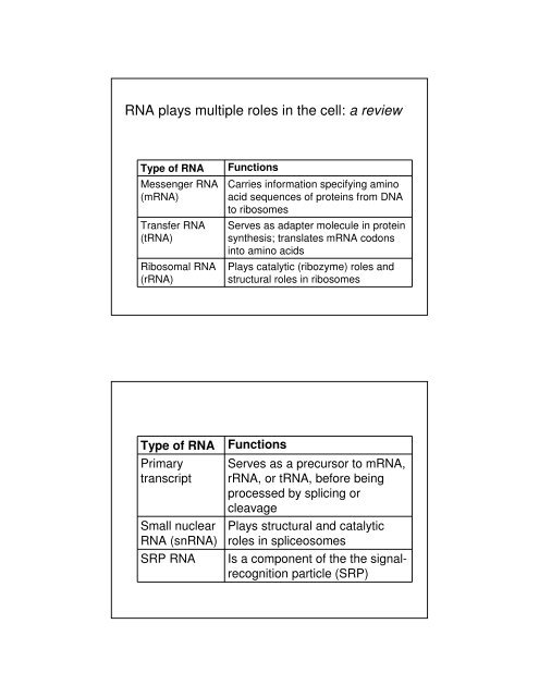 Basic Principles of Transcription and Translation - Computer ...