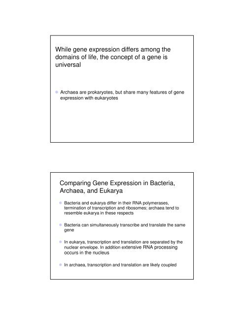 Basic Principles of Transcription and Translation - Computer ...