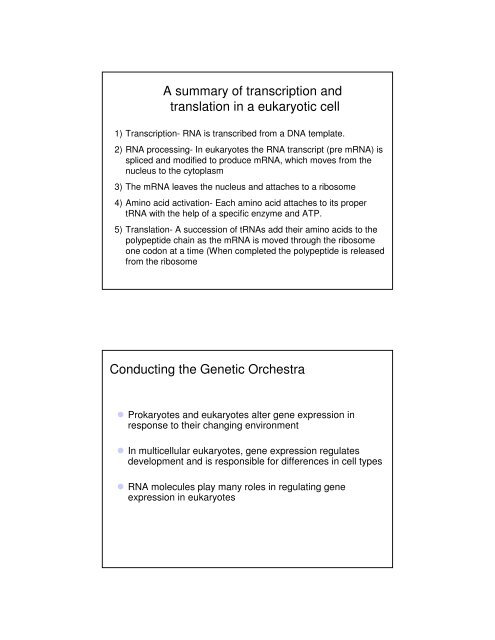 Basic Principles of Transcription and Translation - Computer ...