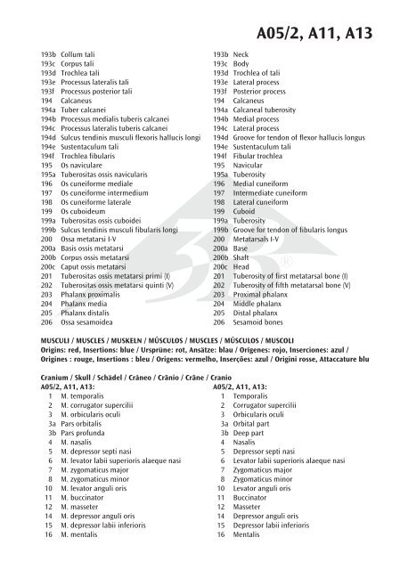 A05/2 A11 A13 - 3B Scientific